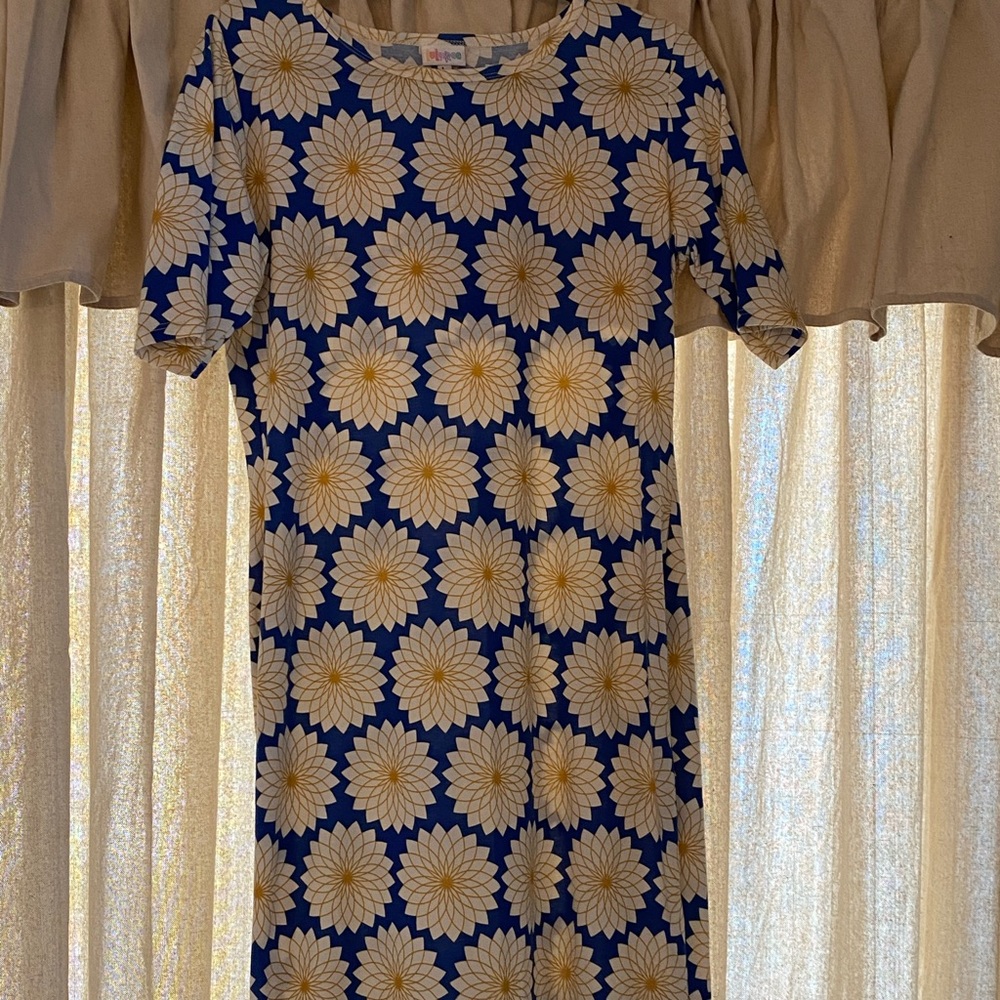 LuLaRoe Julia Dress